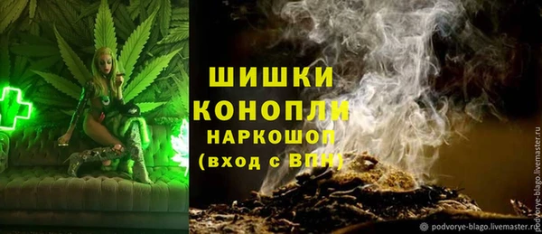 дмт Надым