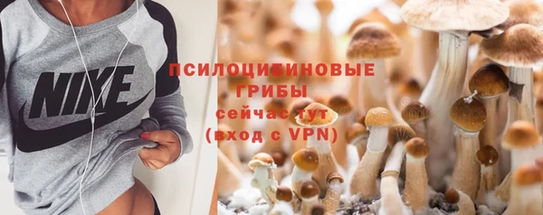 дмт Надым