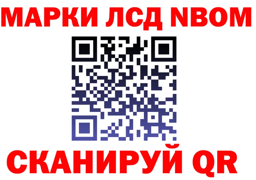 A PVP СК вход площадка МЕГА Донской