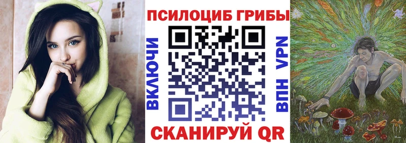 Галлюциногенные грибы Psilocybine cubensis Донской